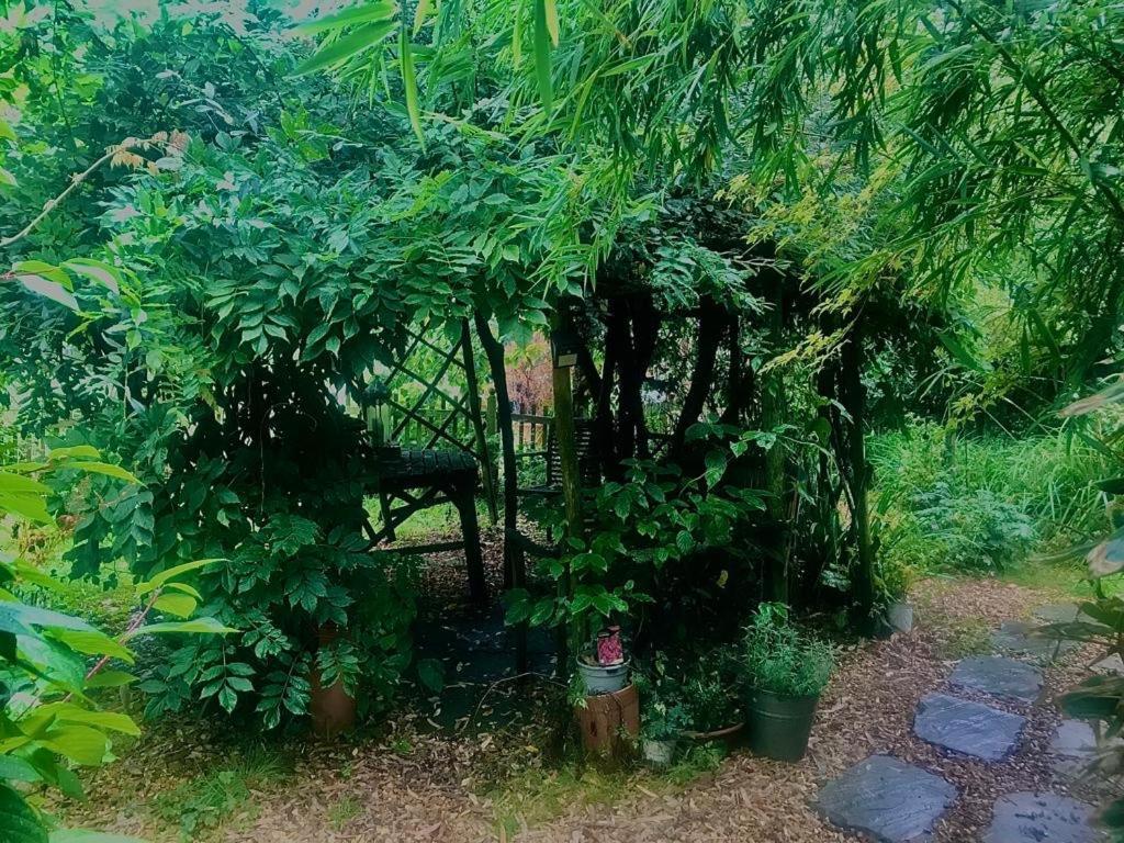 The Garden Room 링우드 외부 사진